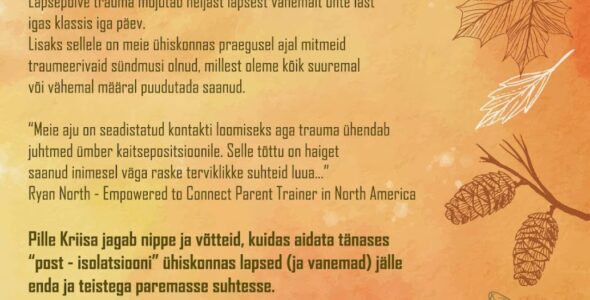 vwk kriisa abi koolitus